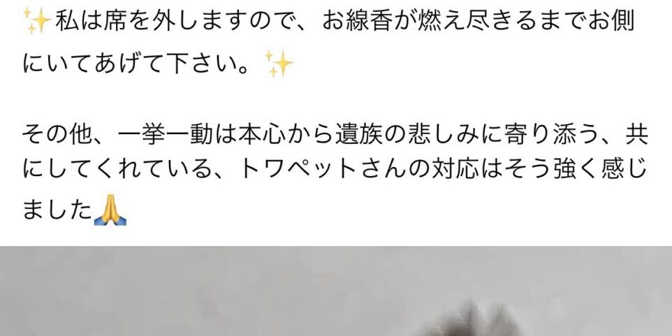 imageレビュー